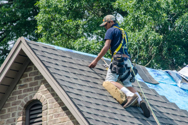 Best Commercial Roofing Services  in Riceville, TN